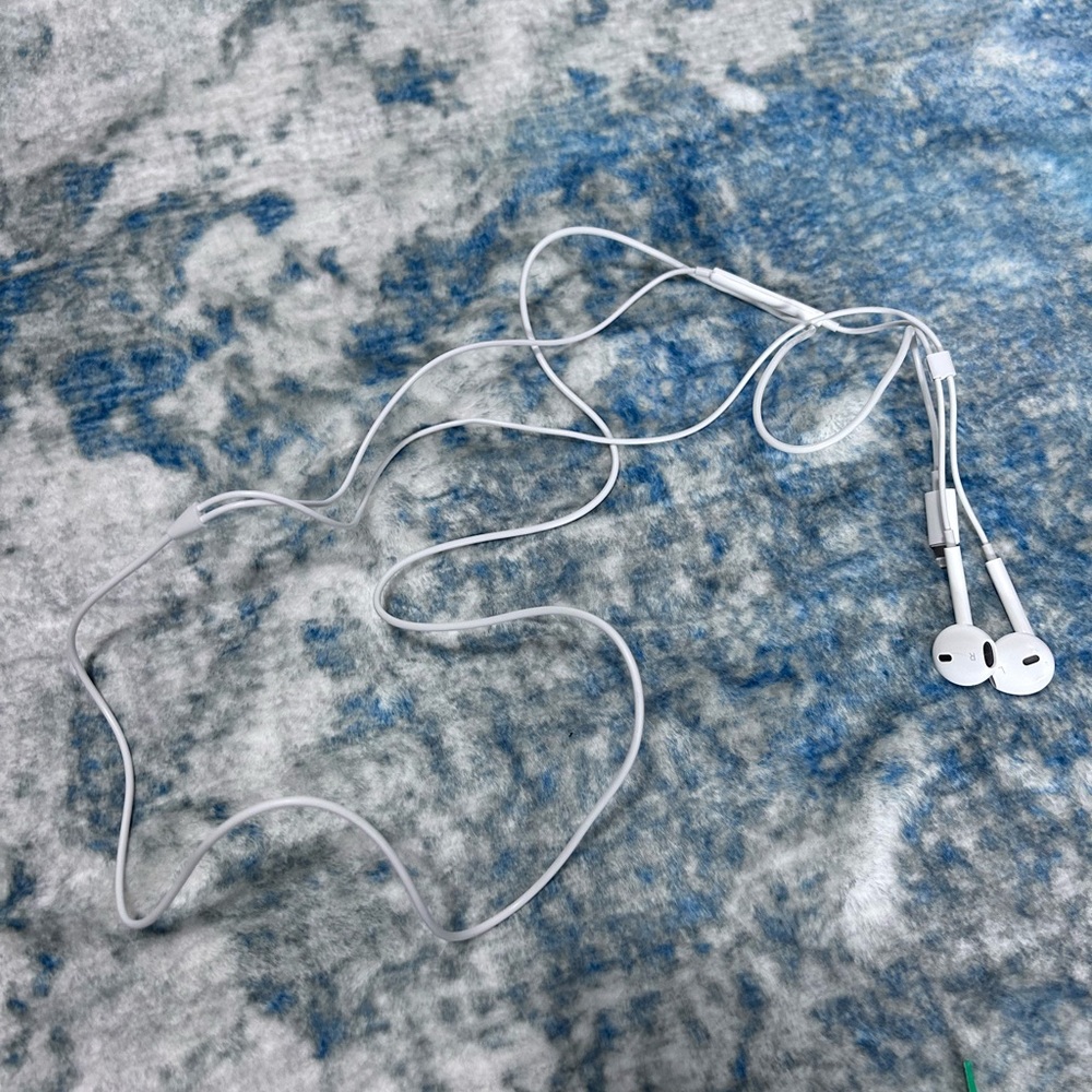 Apple Earbuds Wired